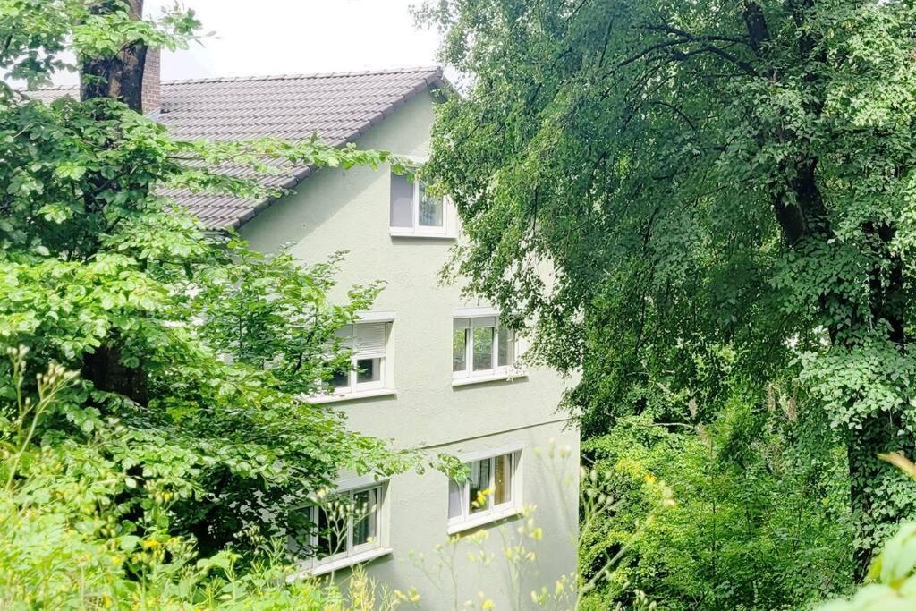 Am Wald Apartment Waldkirch Exterior foto